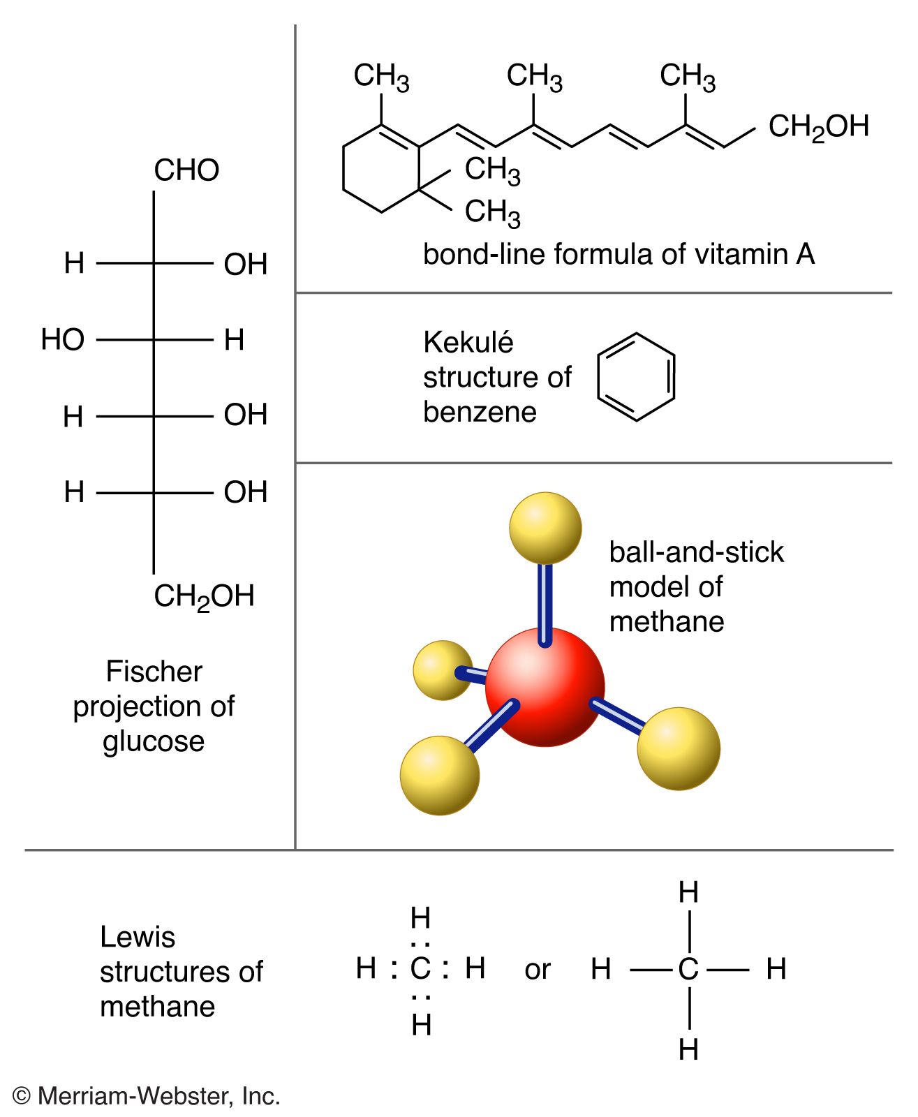 Detail Images Of A Molecule Nomer 3