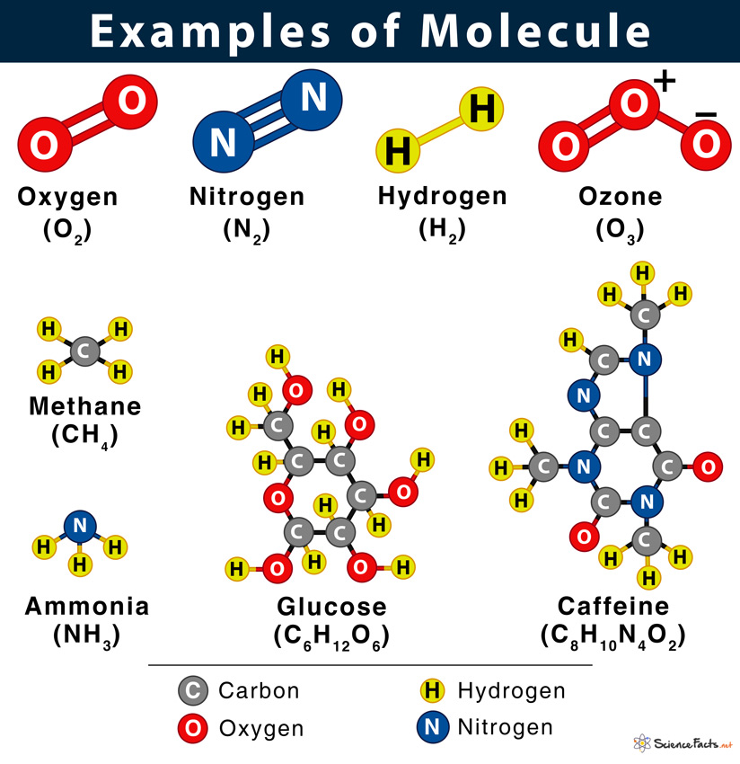 Detail Images Of A Molecule Nomer 20