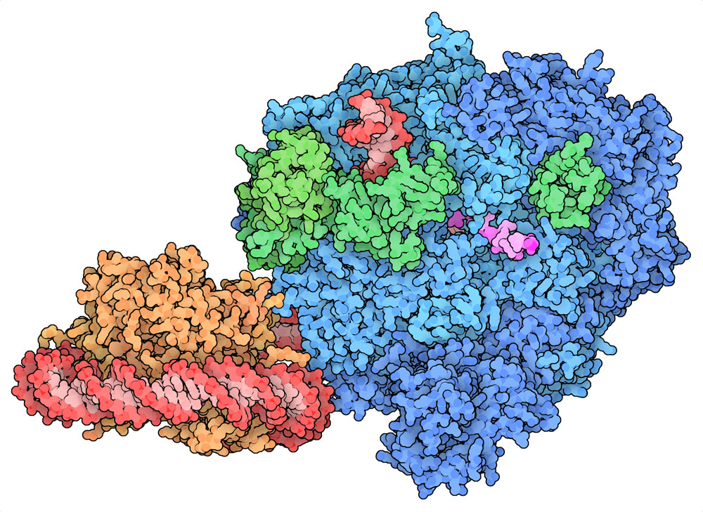 Detail Images Of A Molecule Nomer 26