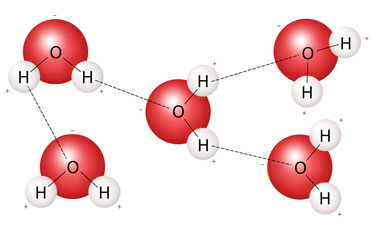 Detail Images Of A Molecule Nomer 31