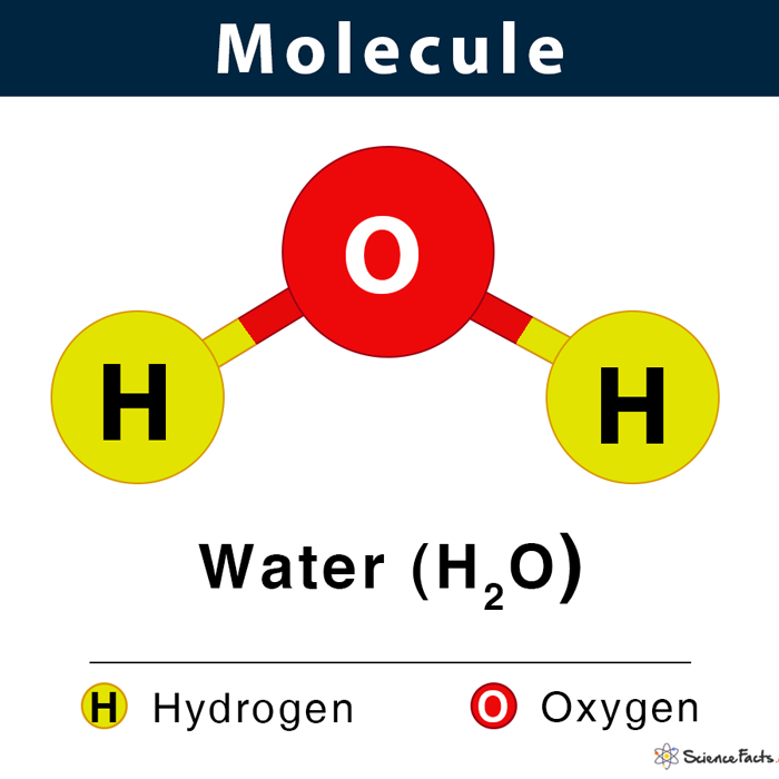 Detail Images Of A Molecule Nomer 7