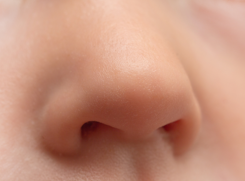 Images Of A Nose - KibrisPDR