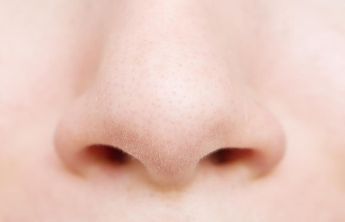 Detail Images Of A Nose Nomer 12