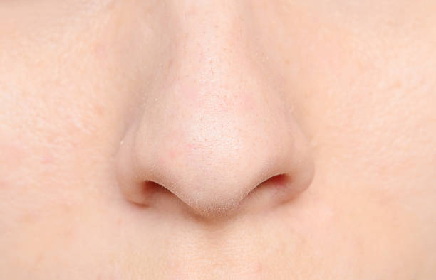 Detail Images Of A Nose Nomer 9