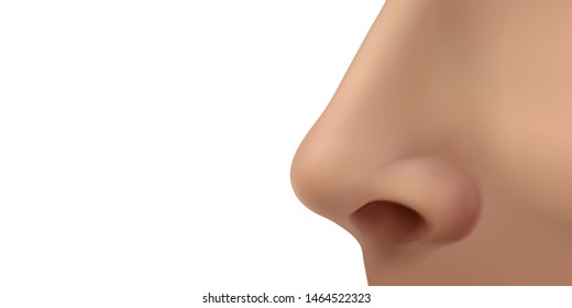 Detail Images Of A Nose Nomer 10
