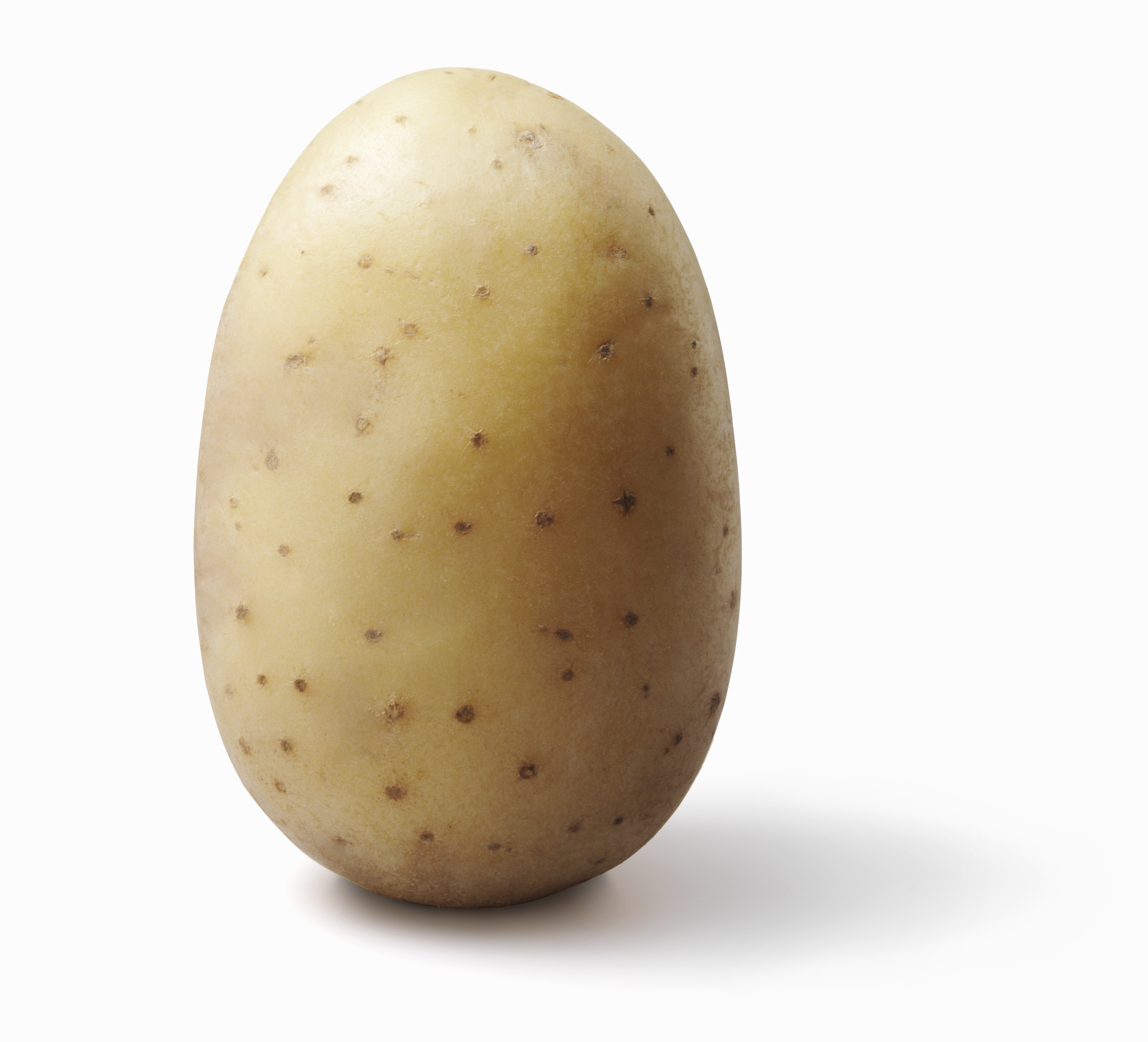 Detail Images Of A Potato Nomer 2