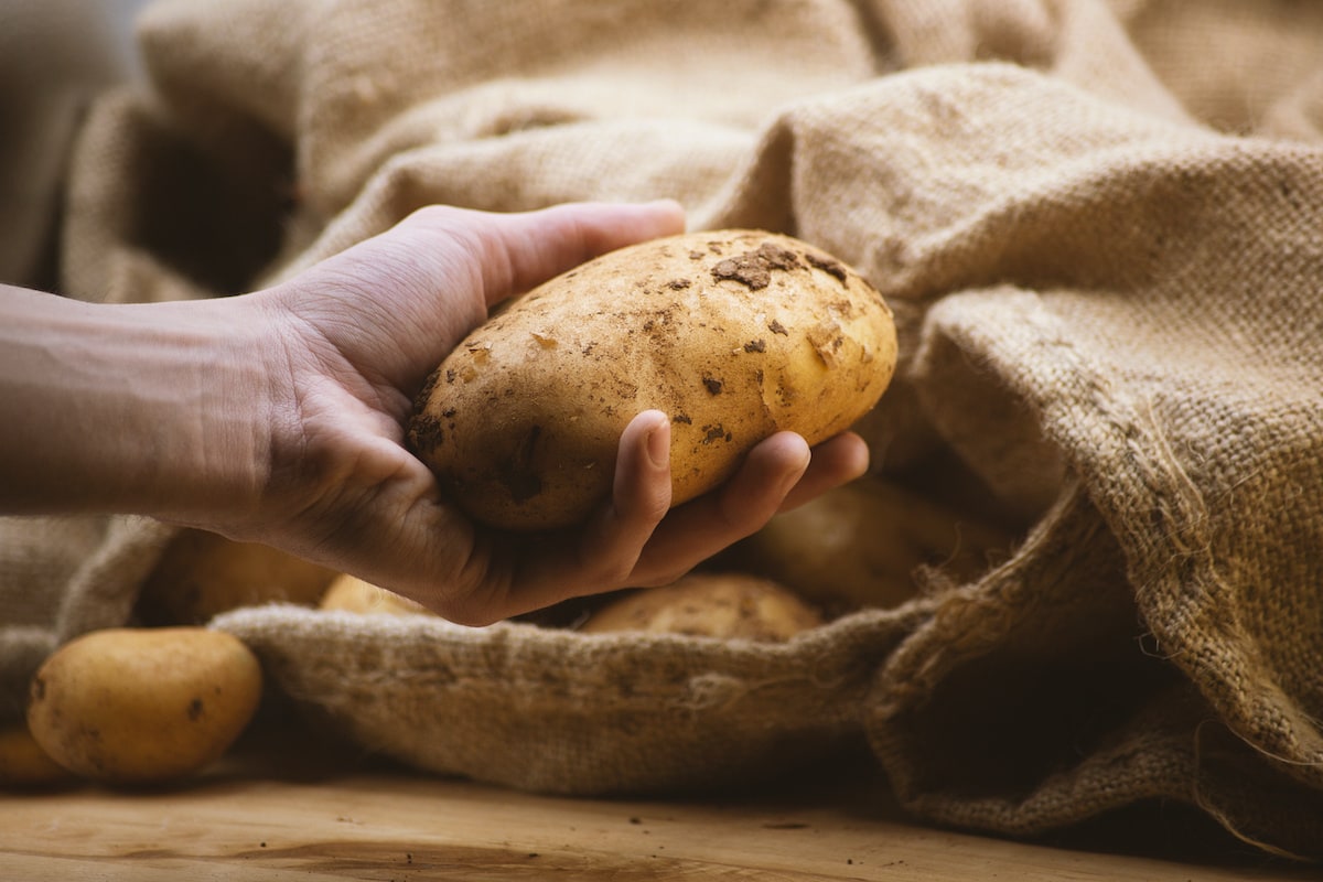 Detail Images Of A Potato Nomer 11