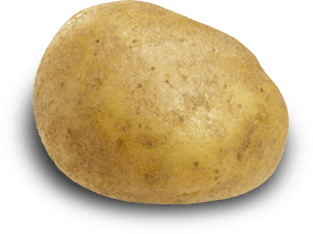 Detail Images Of A Potato Nomer 9