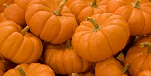 Detail Images Of A Pumpkin Nomer 39