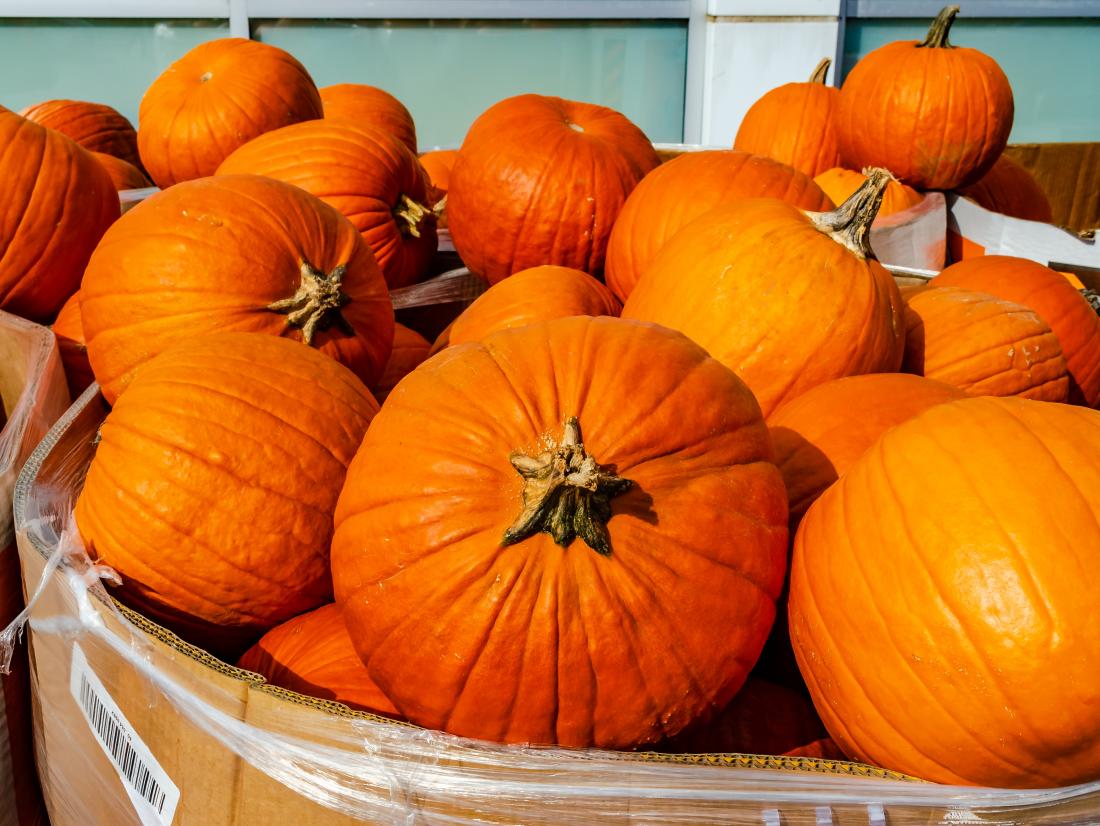 Detail Images Of A Pumpkin Nomer 9