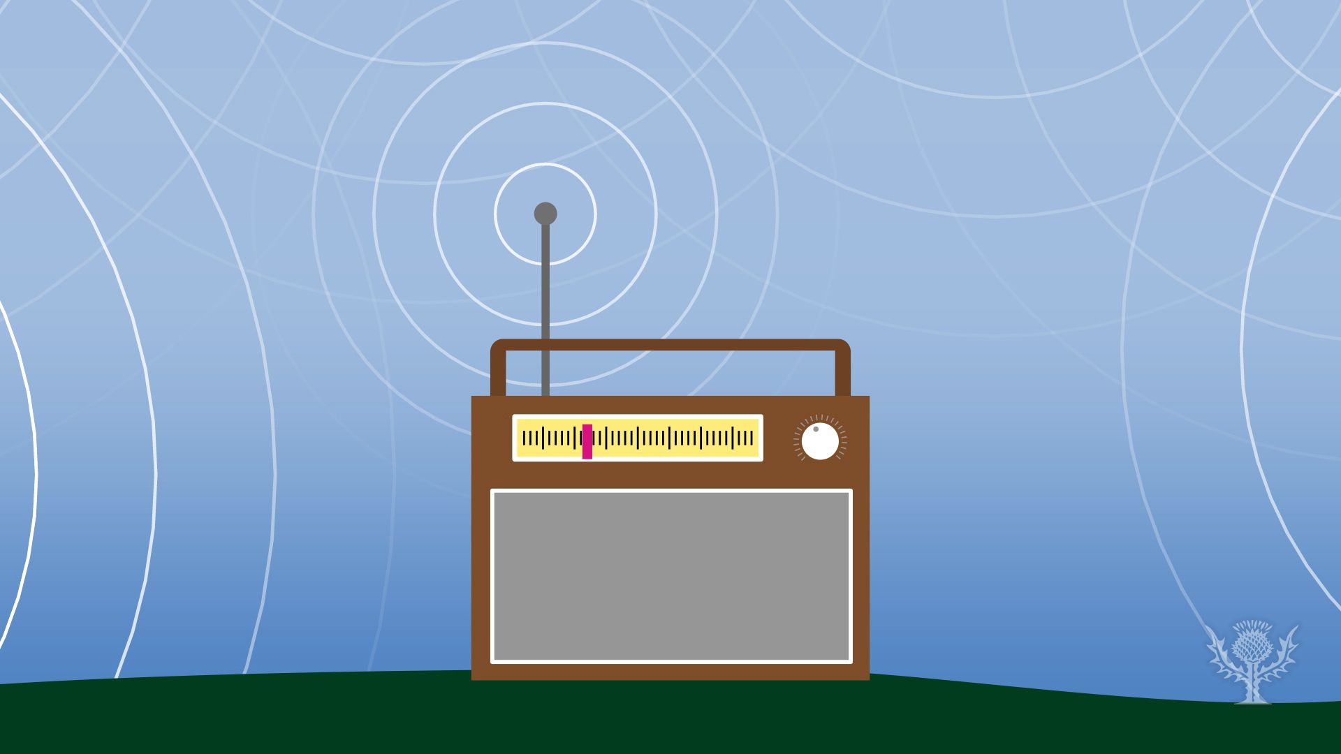 Detail Images Of A Radio Nomer 43