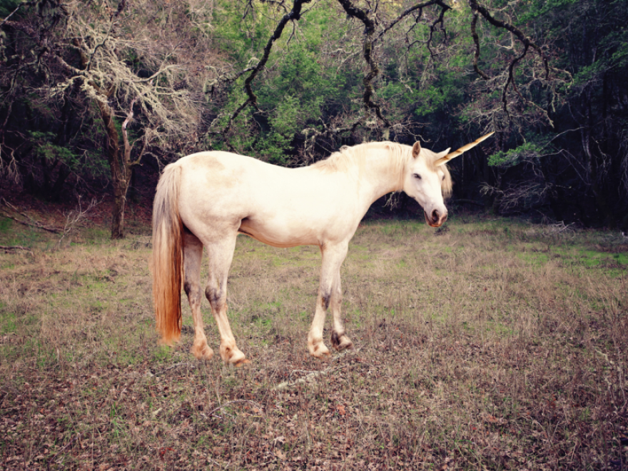 Images Of A Real Unicorn - KibrisPDR