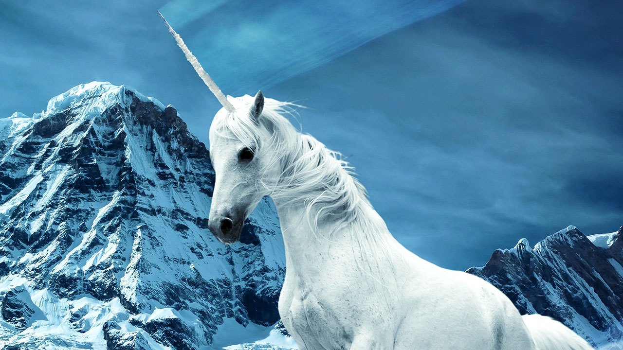 Detail Images Of A Real Unicorn Nomer 20