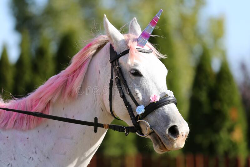 Detail Images Of A Real Unicorn Nomer 4