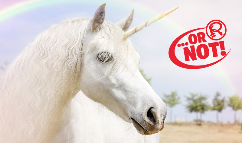 Detail Images Of A Real Unicorn Nomer 30