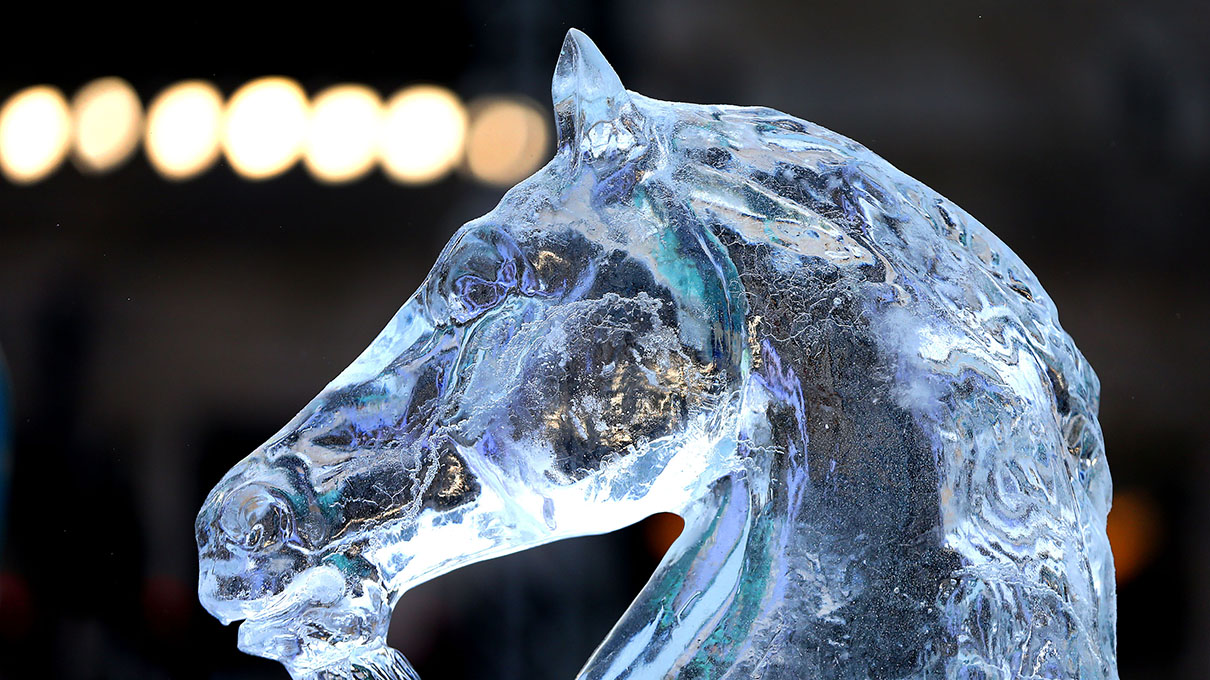 Detail Images Of A Real Unicorn Nomer 48