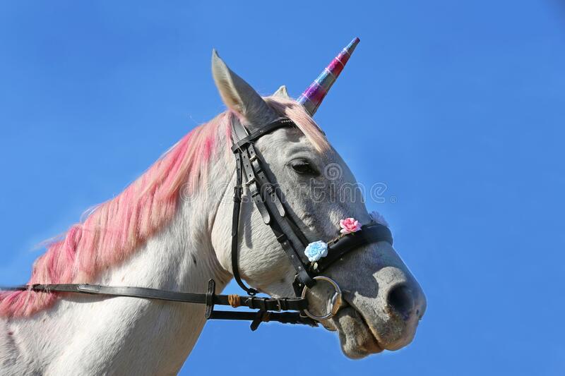 Detail Images Of A Real Unicorn Nomer 52