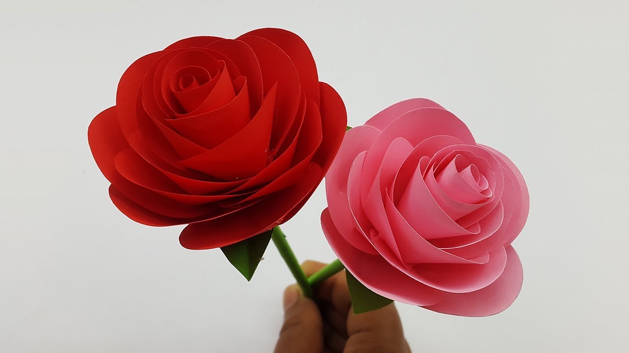 Detail Images Of A Rose Nomer 47