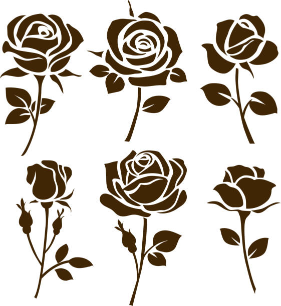 Detail Images Of A Rose Nomer 52