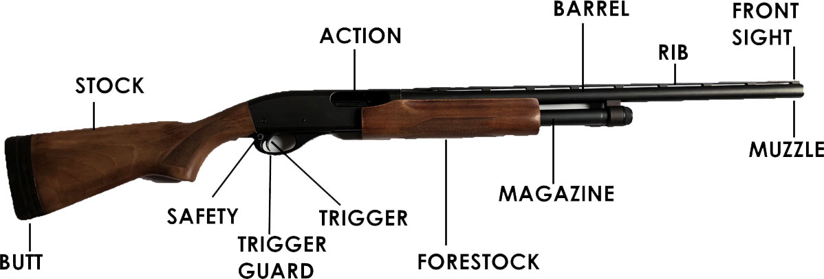 Detail Images Of A Shotgun Nomer 16