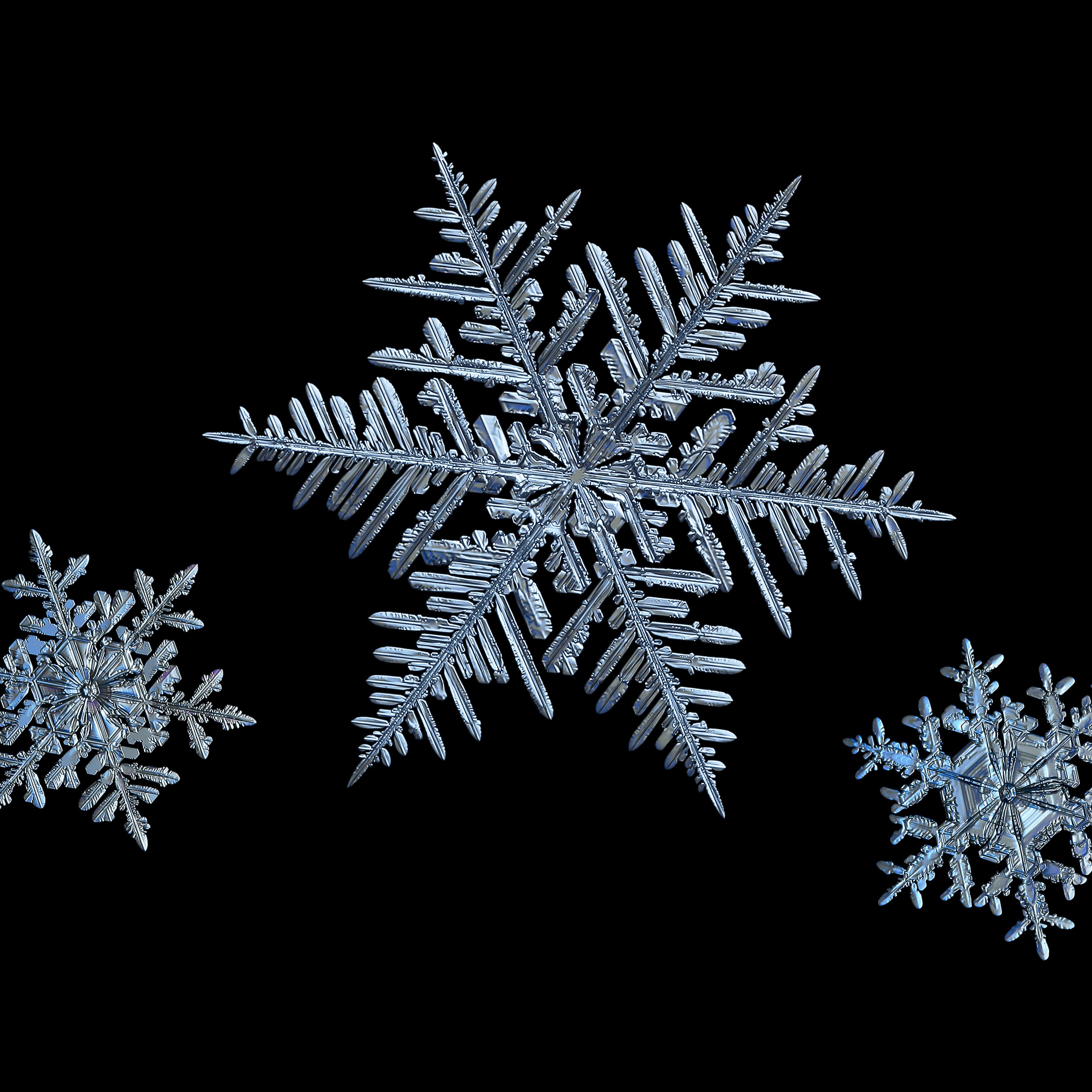 Detail Images Of A Snowflake Nomer 10