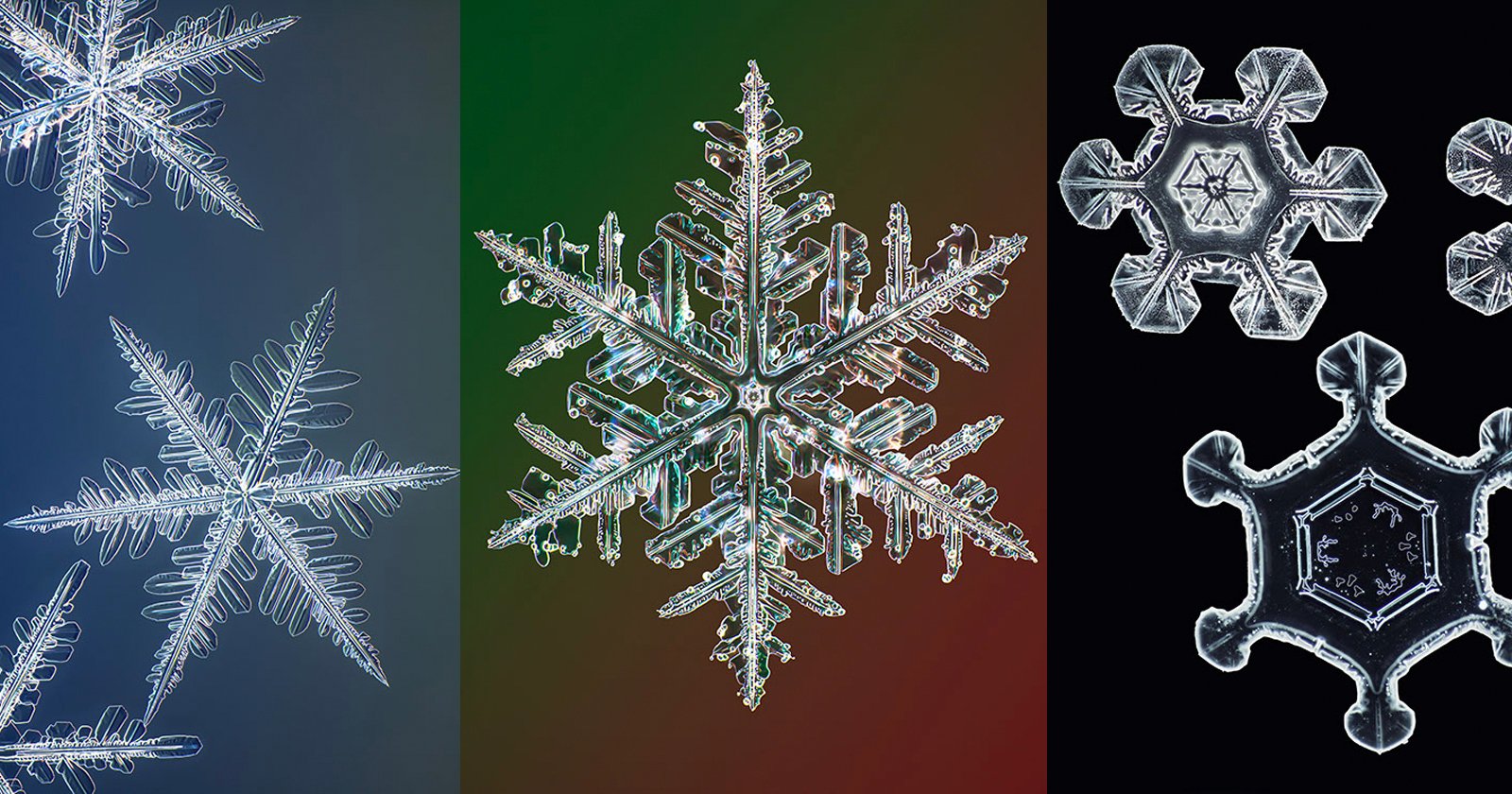 Detail Images Of A Snowflake Nomer 20