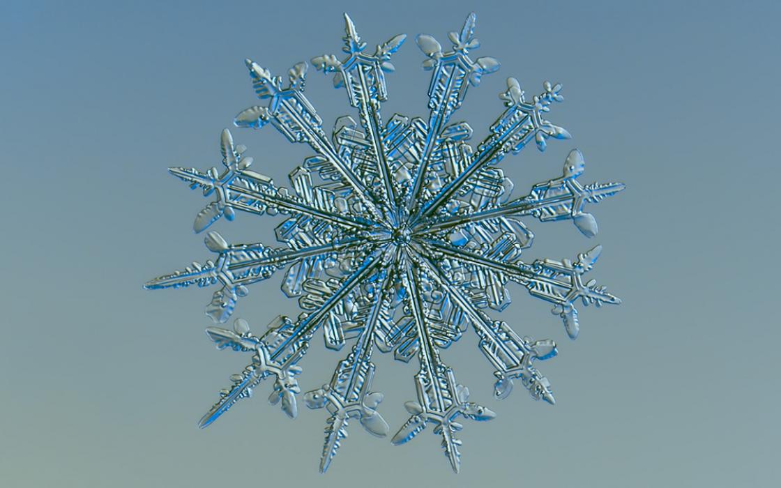 Detail Images Of A Snowflake Nomer 24