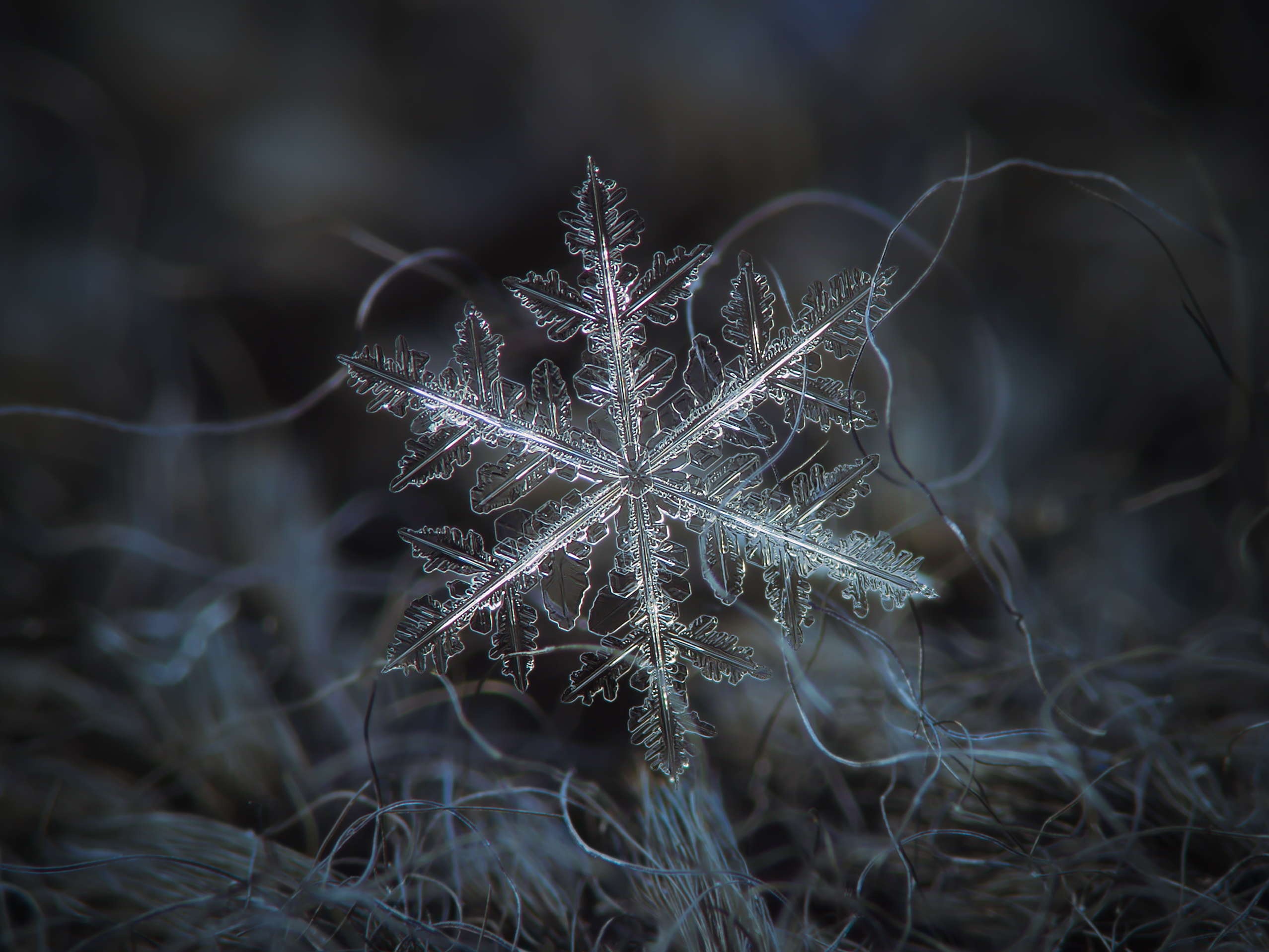 Detail Images Of A Snowflake Nomer 39