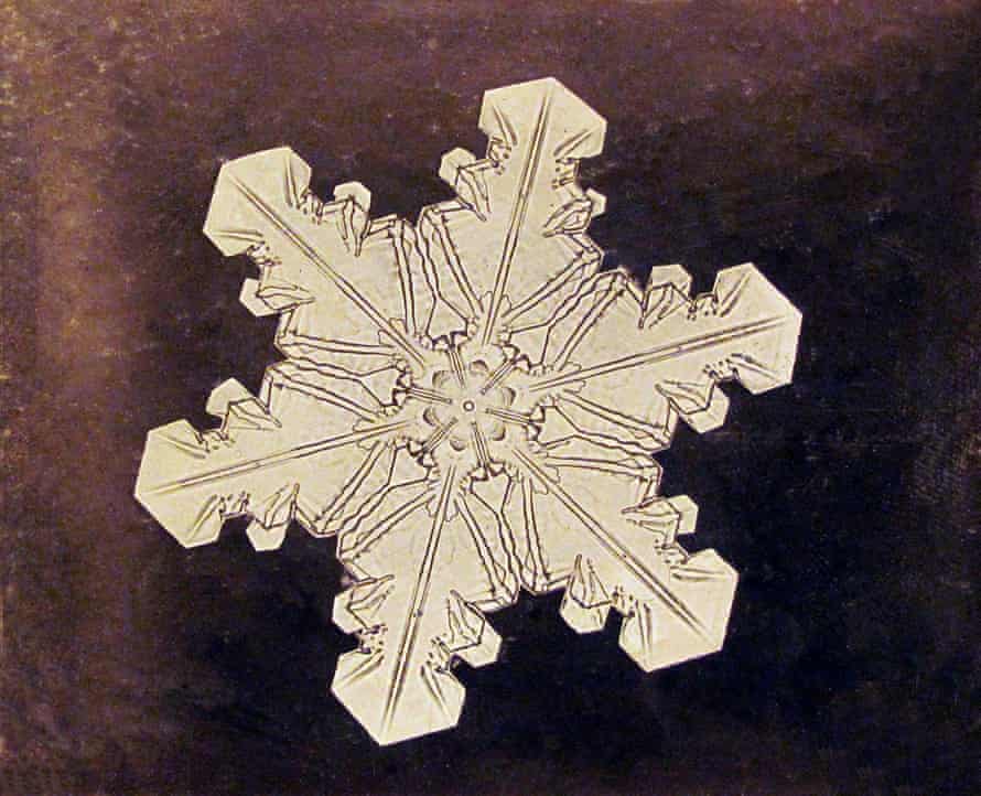 Detail Images Of A Snowflake Nomer 42