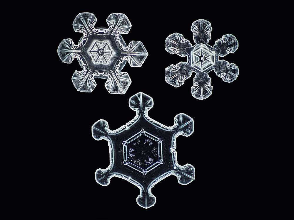 Detail Images Of A Snowflake Nomer 45