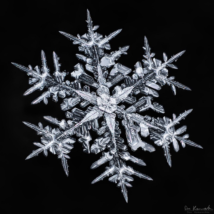 Detail Images Of A Snowflake Nomer 46