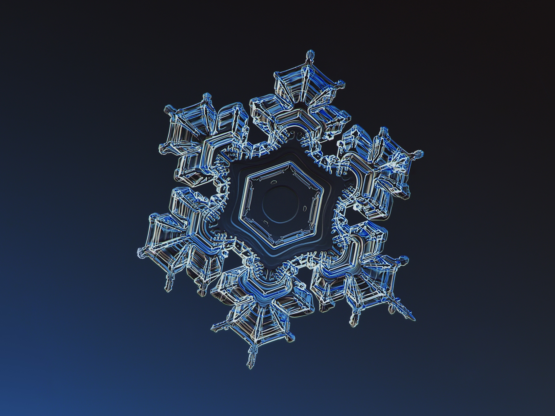 Detail Images Of A Snowflake Nomer 48