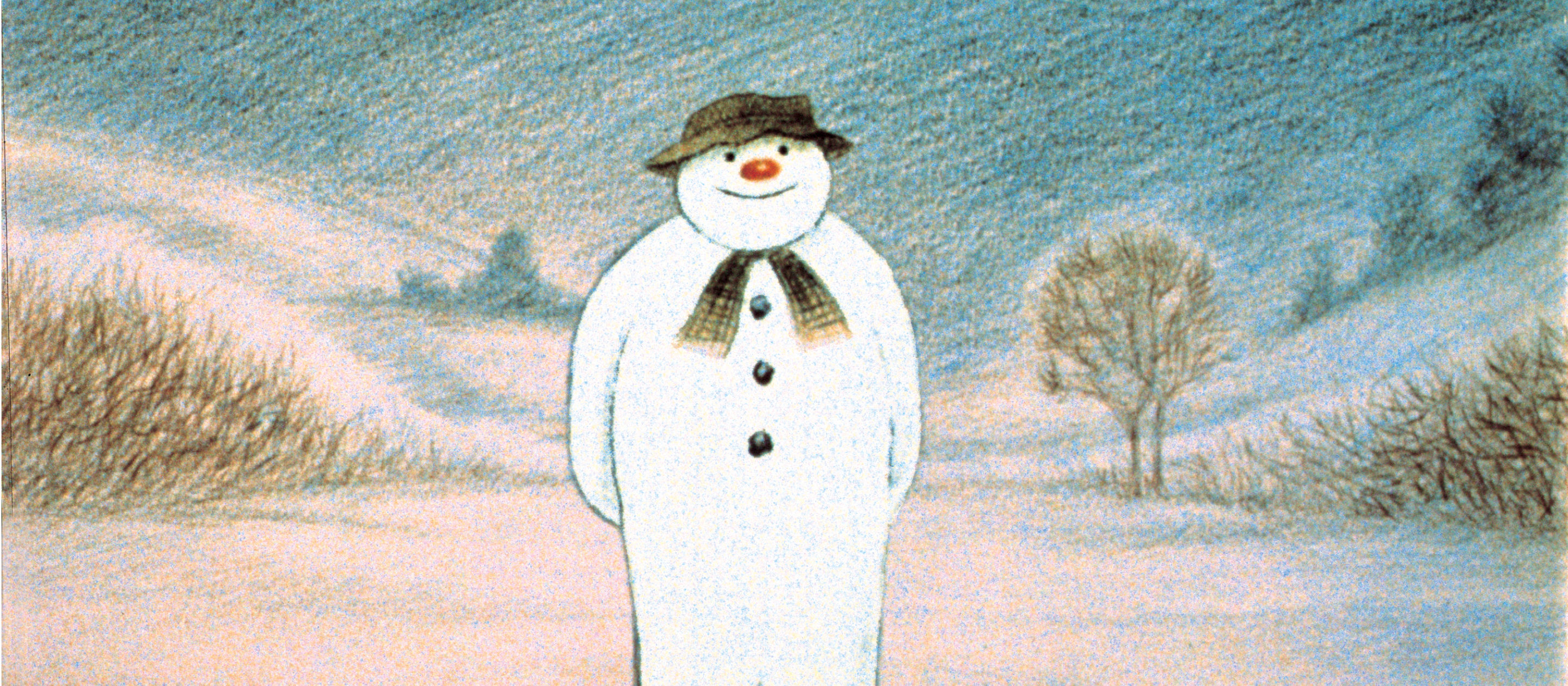 Detail Images Of A Snowman Nomer 51