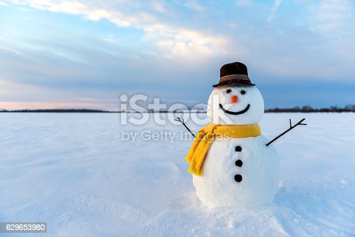 Detail Images Of A Snowman Nomer 8
