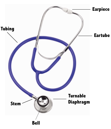 Detail Images Of A Stethoscope Nomer 32