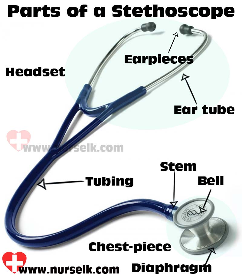 Detail Images Of A Stethoscope Nomer 41