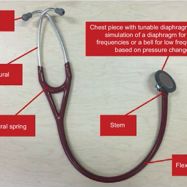 Detail Images Of A Stethoscope Nomer 42