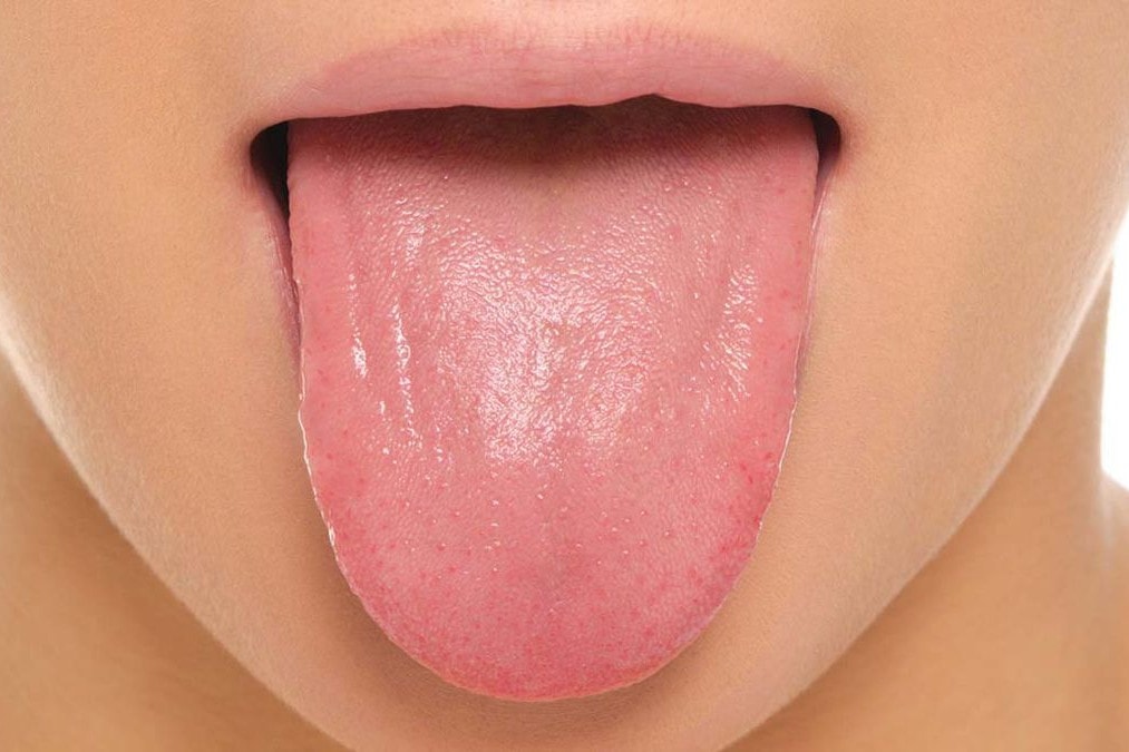 Detail Images Of A Tongue Nomer 12