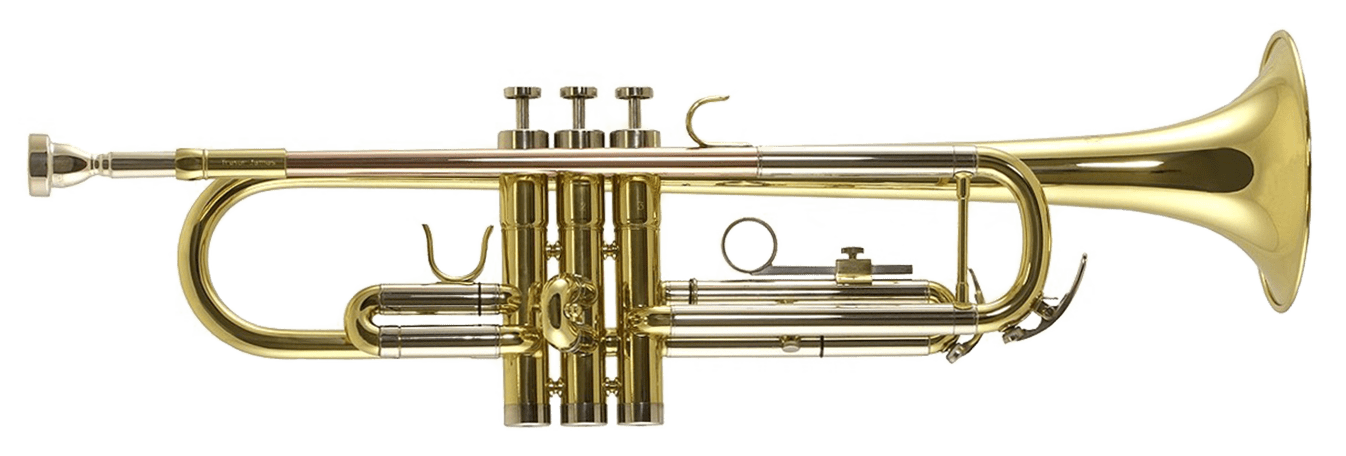 Detail Images Of A Trumpet Nomer 14