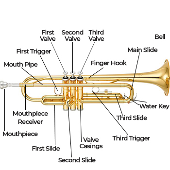 Detail Images Of A Trumpet Nomer 55