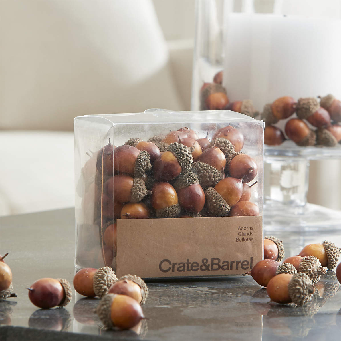 Detail Images Of Acorns Nomer 26