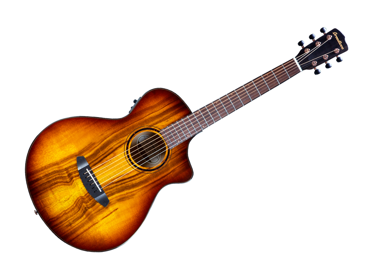 Detail Images Of Acoustic Guitar Nomer 58