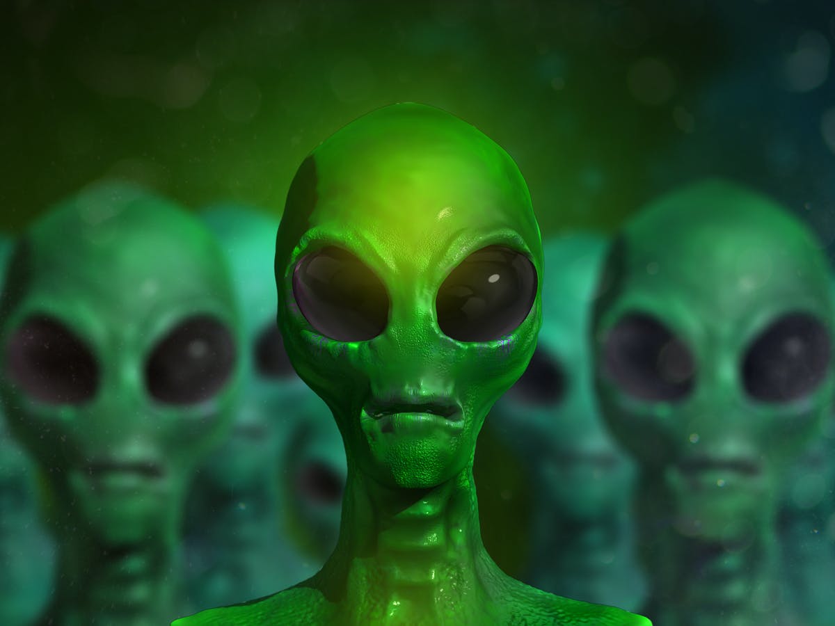 Detail Images Of Alien Nomer 10