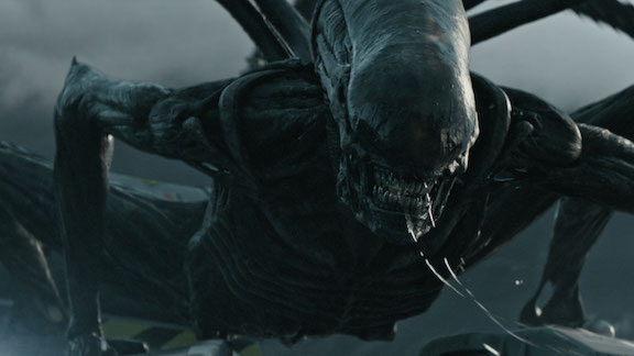 Detail Images Of Alien Nomer 12