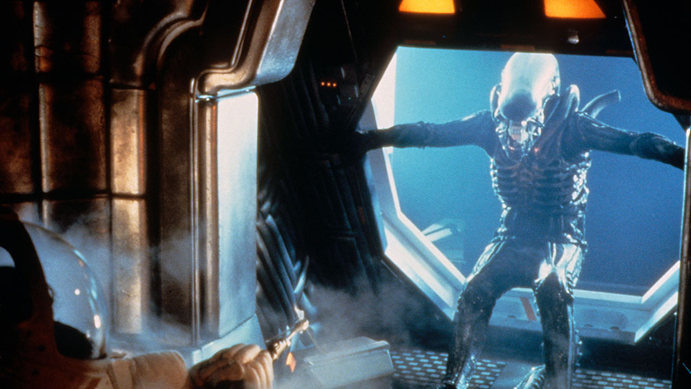 Detail Images Of Alien Nomer 15
