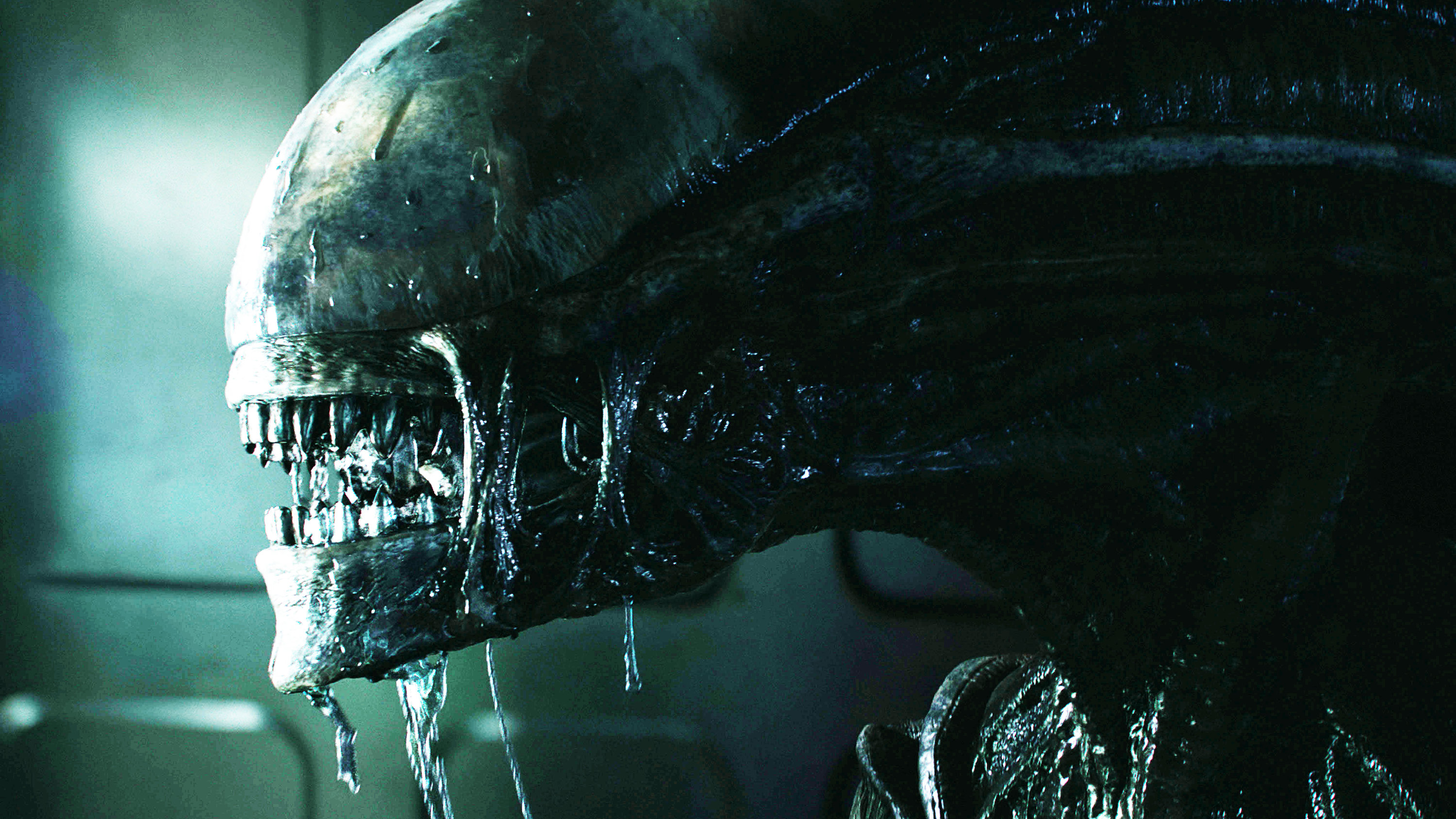 Detail Images Of Alien Nomer 17