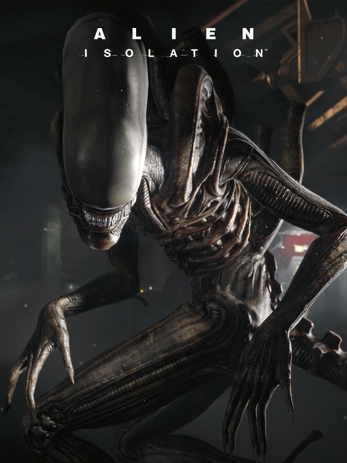 Detail Images Of Alien Nomer 3