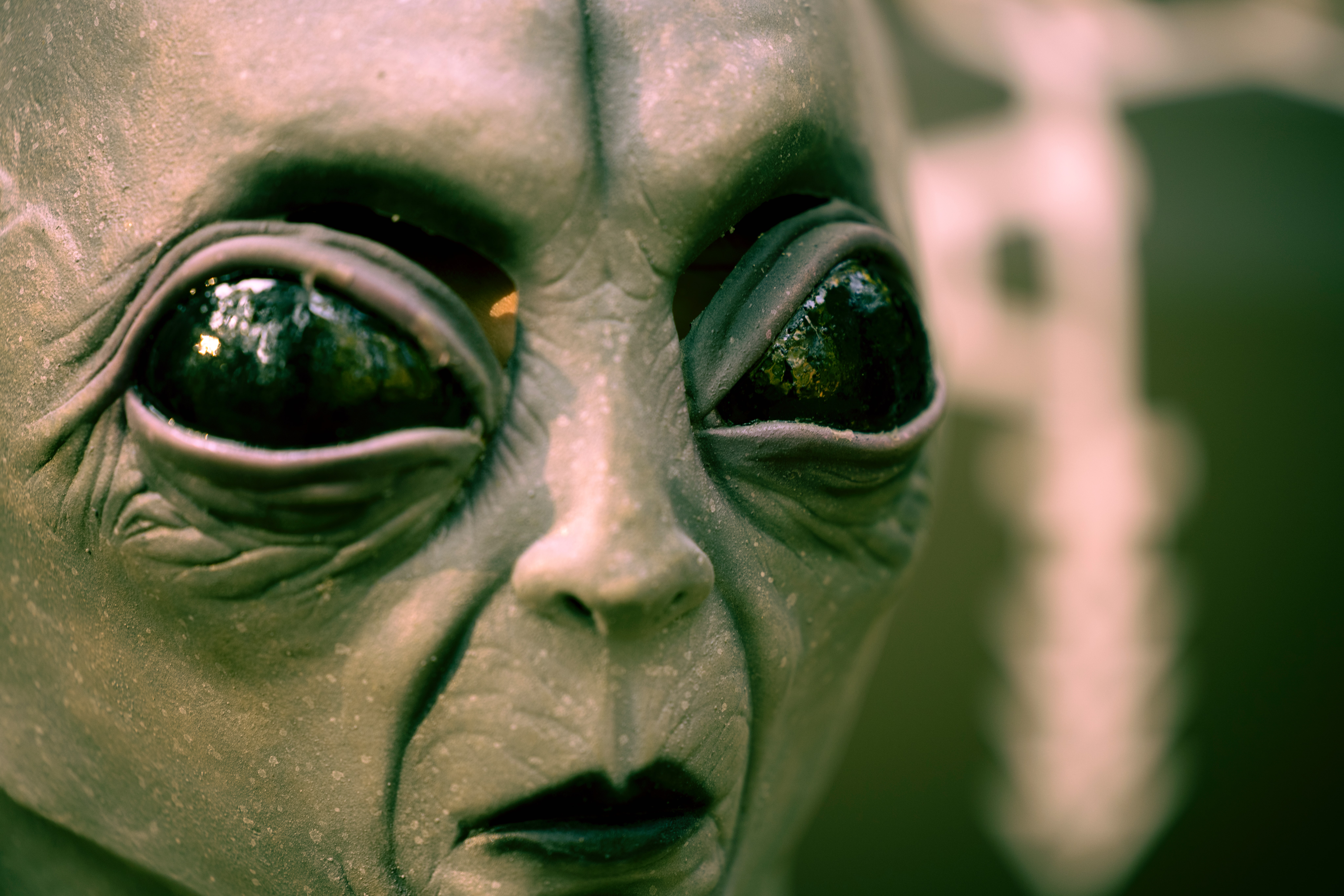 Detail Images Of Alien Nomer 22