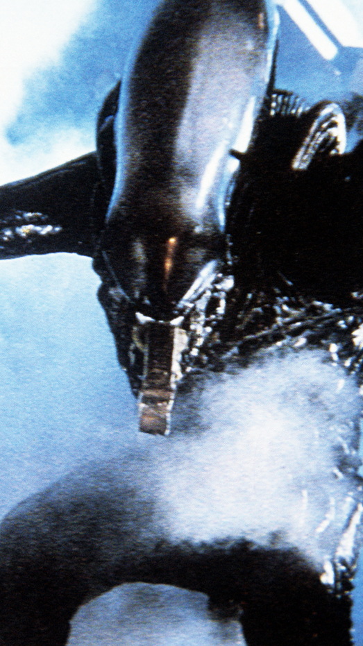 Detail Images Of Alien Nomer 29
