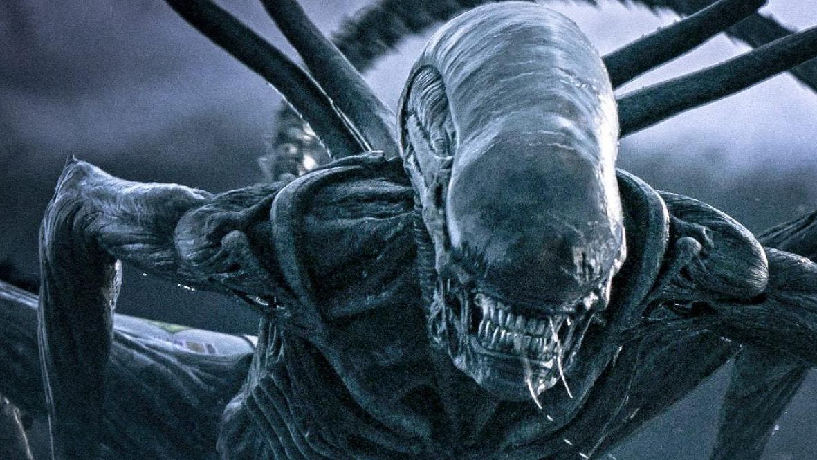 Detail Images Of Alien Nomer 4